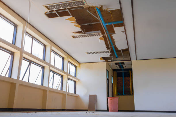 Best Water damage cleanup near me  in Plainfield, NJ