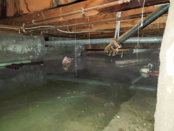 Water damage restoration experts in NJ