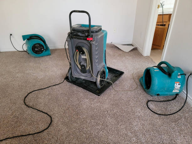 Best Professional water damage repair  in Plainfield, NJ