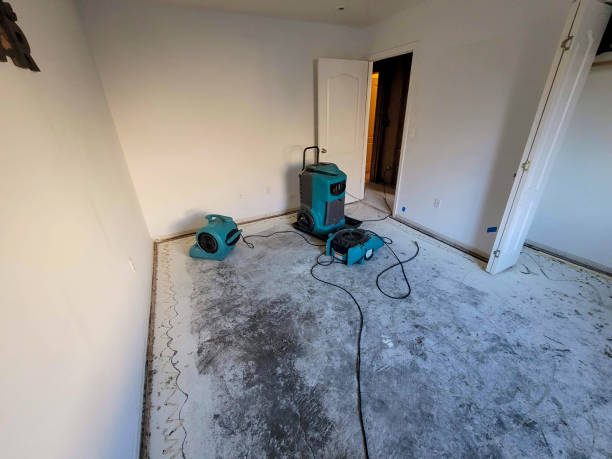 Best Basement water damage restoration  in Plainfield, NJ