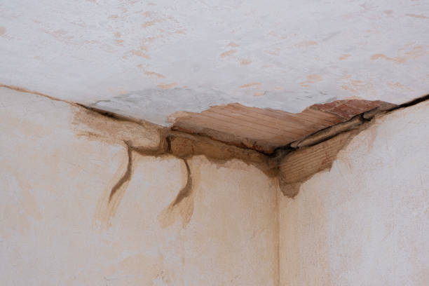 Best Water damage cleanup near me  in Plainfield, NJ