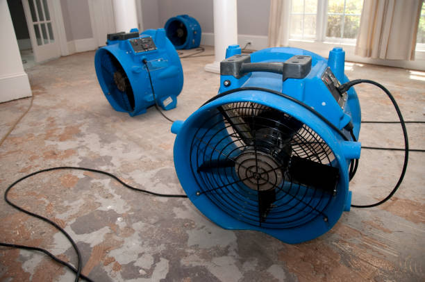 Best 24/7 water damage repair  in Plainfield, NJ
