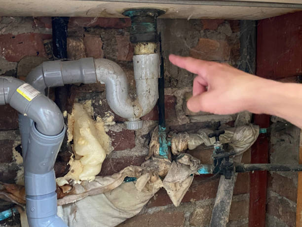 Best Flooded house restoration  in Plainfield, NJ