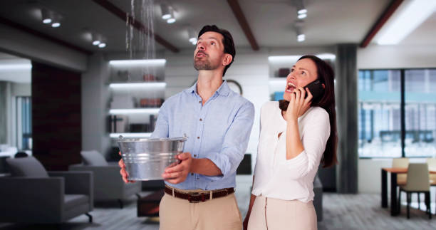 Best Water damage mitigation services  in Plainfield, NJ