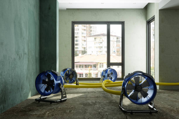 Best Basement water damage restoration  in Plainfield, NJ