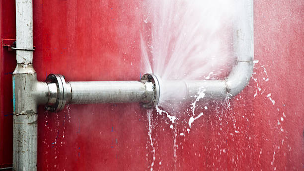 Best Flood damage cleanup  in Plainfield, NJ